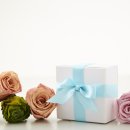스튜디오잘 이미지