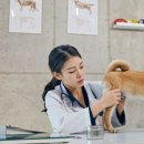 아이안 동물의료센터 이미지