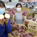 영암농협하나로마트 이미지