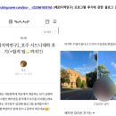 이차 | 인하대학교 이차전지 서포터즈 3기 합격 후기