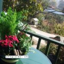 하늘나리 민박 이미지