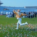 도로시지켜줄개 이미지