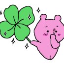 리장인테리어 네이버블로그