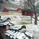 서원골 Daum카페