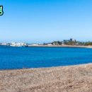 제주노른자부동산중개 이미지