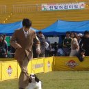 이지 이미지