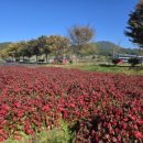 상림관리사 이미지