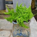 북유성대로(유성-28) 이미지