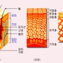 신진상수도 이미지