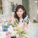 디자인솔트 이미지