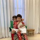 드디어배송완료(데일리베베, 벨로, 보니토, 세인트제임스, 파이, 옐로우팩토리 등등) 6,4살 M,L 사이즈후기