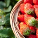 가자가자(GO GO) 이미지