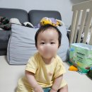 한농상사 이미지