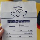 용인해성동물병원 이미지