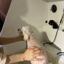 늘, 예쁘개 이미지