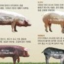 산우리농장 이미지