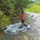 청강수반딧불이민박 이미지