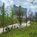 한강태양광발전소 이미지