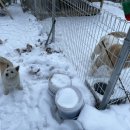 으지네민박 이미지