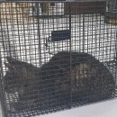 진북동물병원 이미지