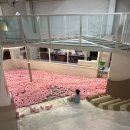 카존 | 이천 대형 키즈카페 리틀베프 내돈내산 후기｜레이싱카존·트램폴린까지 체력방출 놀이터!