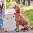 25시동물의료센터 이미지