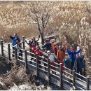 철새보러가는길 이미지