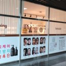 인셀덤럭셔리정은