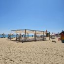 바다그린 이미지