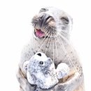 행복한바다 이미지