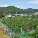 점암우체국 이미지