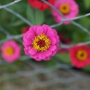 민행정사사무소 이미지