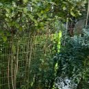 약초와산이야기 이미지