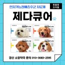 초코약국 이미지