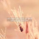 (주)시시엠코리아 이미지