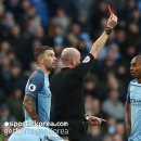 미운오리 이미지