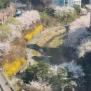 모퉁이작은도서관(은평뉴타운 상림마을 14단지 마을문고)-미운영 | 위키 글쓰기 : 내가 살고 있는 동네 (설명문) - 이음글