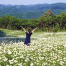 플라워천국 이미지