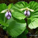 시몬주유소 이미지