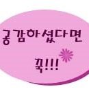 디소마기능성구두