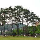 율동공원 이미지