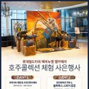 (주)월드컬렉션