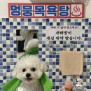 멍뭉다방