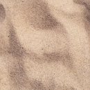 경기과학기술대학교 이미지