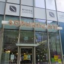소피스티케이트(SOPHISTICATE)
