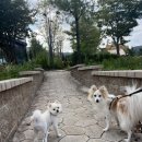 커피라운지 앞 이미지