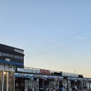 강화밴댕이 | 강화 맛집 / 후포항 밴댕이회무침 대하구이 맛집 추천 미락횟집