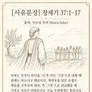 채색옷