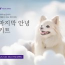포포즈