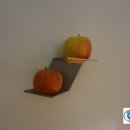 센스여행사(주) 이미지